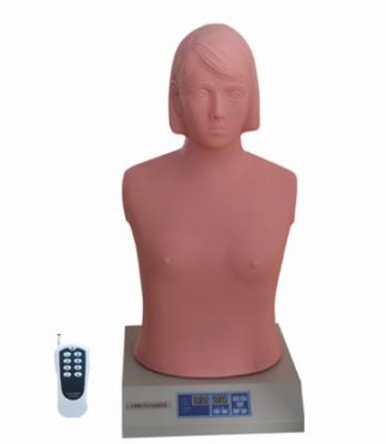 China Vivid Simple Adult Heart and Lung Auscultation Model (With Controller) for Education for sale