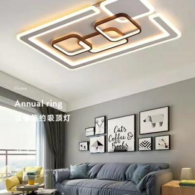 China Smart Farmhouse LED Ceiling Light New For Home Large Ceiling Light For Living Room for sale