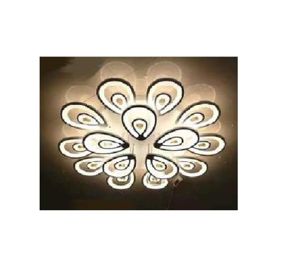 China Hot Selling Decoration Chandelier Lighting Outdoor Mounted Acrylic Ceiling Lights Size 1M for sale