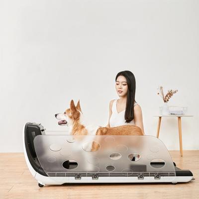 China Factory viable wholesales dog electric treadmill walking machine pet treadmills for sale