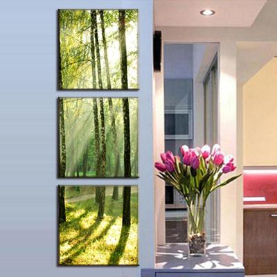 China Modern Forest Bamboo Wall Canvas Print Painting Posters Art Decoration 3 Pieces Hd Picture Sunshine for sale