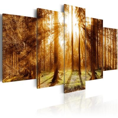 China New Classic/Postmodern Wall Art Canvas Painting Fashion 5 Pieces Black Green Forest Landscape Modern Home Decoration Sunny Brown for sale