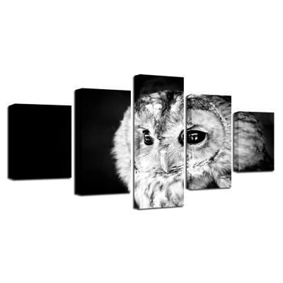 China New Classic/Postmodern Home Decor HD Pictures Printed 5 Pcs Animal Owl Canvas Painting Black White Poster For Living Room Wall Art for sale