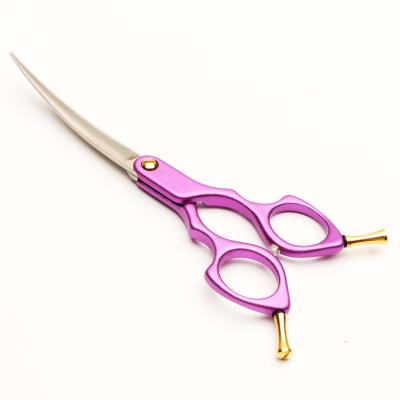 China Durable Flawless Lady Groomer Shear 6 Inch Japan Steel Curved Pet Hair Scissors for sale