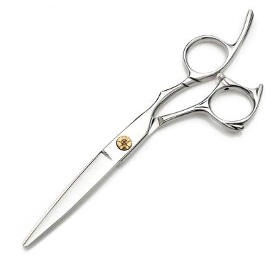 China Viable Factory Professional Customized 440C Stainless Steel Hair Scissors Salon Straight Scissors for sale