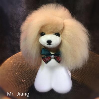 China Mr. Jiang Teddy Bear Head Wigs Only Viable Pet Tool Grooming Groomer Balancing Model Dog Head Fur (No Head) Practice for sale