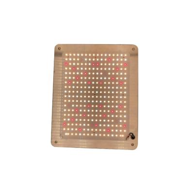 China Seed Starting 2022 Hot Sale Ip65 120w Durable Waterproof Aluminum Led Grow Lights For Sale for sale