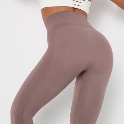 China Breathable Warm Nylon Seamless Yoga Pants High Waist Tight Hip Lifting Pure Color Fitness Outdoor Running Pants for sale