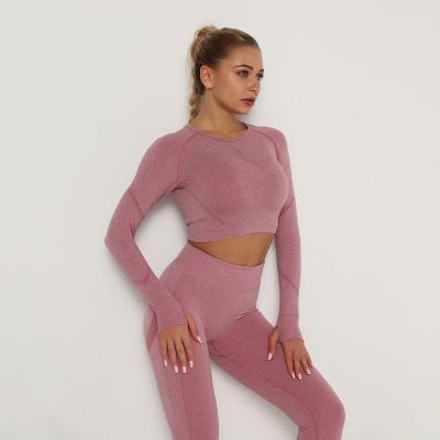 China Breathable Womens Workout Clothes Long Sleeve Shirts Female Workout Clothing Yoga Running Suit for sale