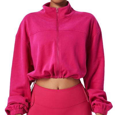 China JIAMING Crop Zipper Top Causal Hoodies Women QUICK DRY Oversized Drawstring Jackets Cropped Hoodies for sale