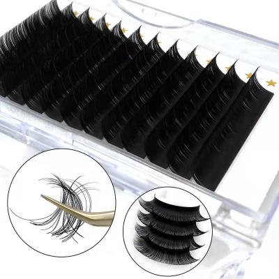 China 15-25time with suitable use OEM logo lash extensions tray supplies custom private label eye lashes different volume eyelash extensions for sale