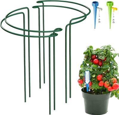 China Country 4 Pack Half Round Garden Plant Support Stakes Metal Bow Type Flower Supports Ring Cage with 2 Self Watering Spikes for Peonies for sale