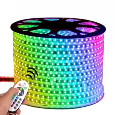 China Residential LED Strip Light SMD RGB Underwater Arming Rope Lights Waterproof Indoor Outdoor Low Voltage Christmas Strip Lights for sale