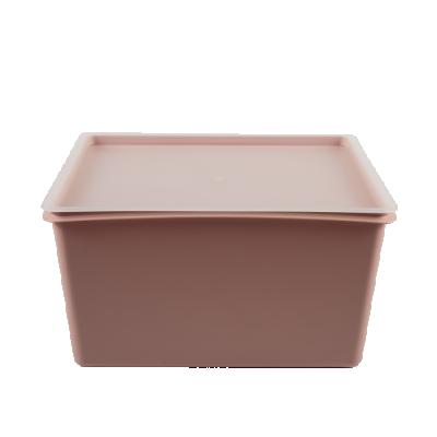 China Modern Design Color Sustainable Household Hotel Collection Organizer Durable Plastic Storage Custom Box for sale