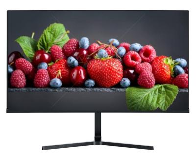 Китай 25inch BOE IPS Monitor 360Hz Refresh Rate With USB Type-C 85% NTSC 105%SRGB Color Gamut 12V Adapter продается