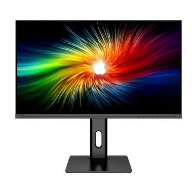 China 25Inch  Gaming Computer Monitor With 165Hz Refresh Rate VESA Mountable And 2560 X 1440 Resolution for sale