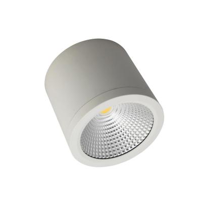 China Outdoor Mounted Project Lighting LED Ceiling Light Surface Mounted Indoor Downlight for sale