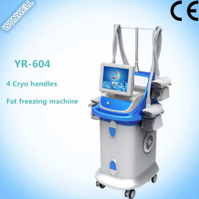 China Fat Freezing Multi-functional Slimming Machine with 4 handles for salon for sale