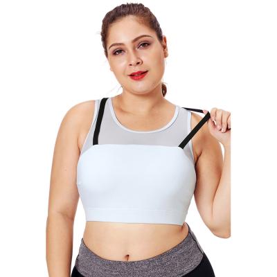 China Breathable New Style Women's Low Price Sports Bra Coral Strap Detail Black Ladies Yoga Crop Top for sale