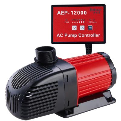 China Water Treatment Solutions 12000LPH Aquarium Pond Water Pump AC Return Submersible Pump for sale