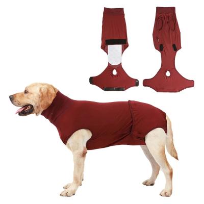 China Viable Wholesale Pet Recovery Suit Dog Diaper With 2 Washable Diaper Pads for sale