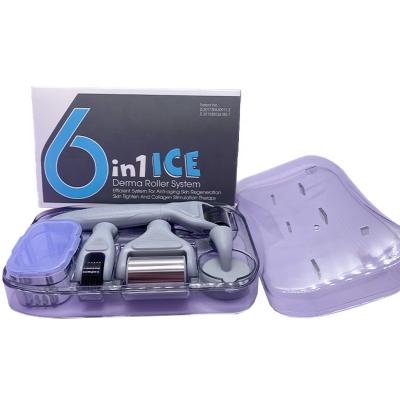 China Anti-Puffiness CE Approved Micro Skin Teasing Titanium Dermaroller 6 in 1 Derma Rolling System Ice Derma Roller Kit for sale