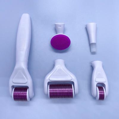 China Innovative Anti-Puffiness New Arrivals Derma Roller Set 6 in 1 Derma Roller Kit for Face and Body Micro for sale