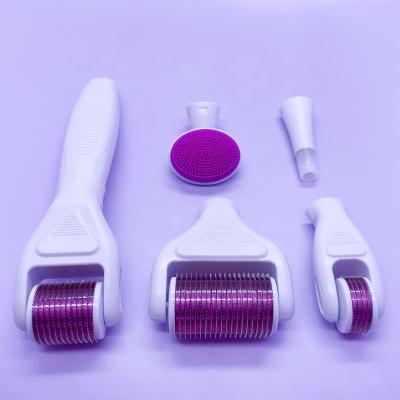 China Anti-Puffiness 1200/720/300/12 Needle Derma Roller System 6 in 1 Derma Roller Set for sale