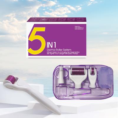 China Anti-Puffiness 5 in 1 Skin Care Derma Roller Wrinkle Removal Derma Roller Kit System 5 in 1 Derma Roller for sale