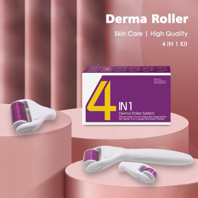 China New Arrival Anti-Puffiness Titanium Alloy Skin Care Wrinkle Remove Stainless Steel Dermaroller 300 700 1200 Needles 4 in 1 Derma Roller for sale