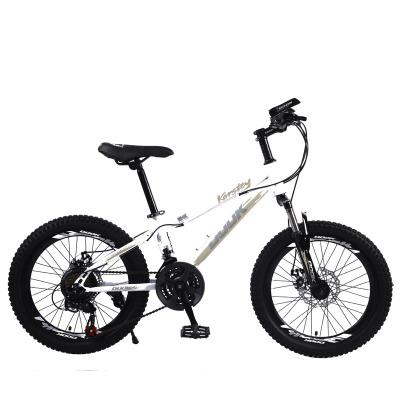 China Student Steel Mountain Bicycle 20 inch bicycle Mtb sight mountain bike / carbon steel mountain bike for sale