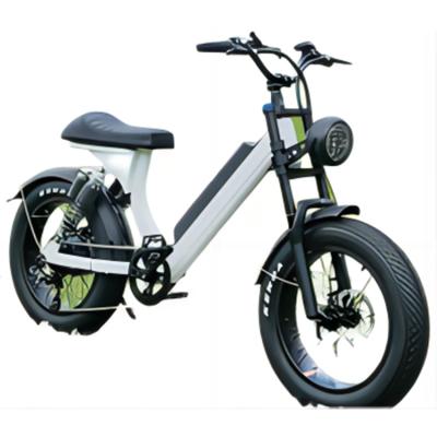 China Factory Price Performance Aluminum Alloy Reliable Travel Fat Mountain 20-YYM Electric Bike For Outdoor for sale