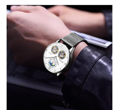 China Automatic Date DOM Mechanical Watches Men Skeleton Watch Automatic Mechanical Men's Watches Waterproof Self-winding Clock Stainless Steel for sale