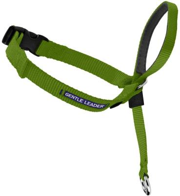 China Cat Dog Head Halter Gentle Small Medium Large Padded Dog Head Collar for Training for sale