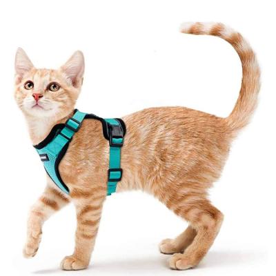 China Adjustable Easy Control Padded Mesh Vest Pet Harnesses Breathable Walking Cat Dog Harness for sale