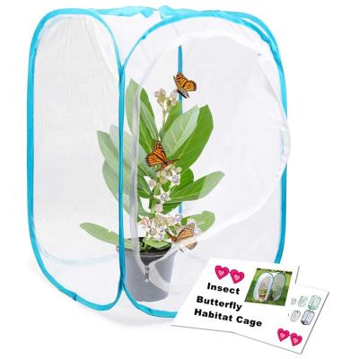 China Breathable Folding Automatic Mesh Caterpillar Insect Terrarium Monarch Butterfly Habitat Cage for sale