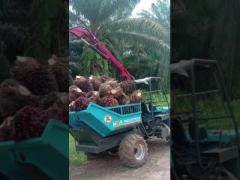 22HP Indonesia Palm Oil Tractor Mini Farm Tractor With Grapple