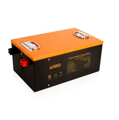 China Factory cheap and good quality SAKO home appliances deep cycle lifepo4 lithium battery 12V 100Ah pack 1280Wh for solar power system for sale