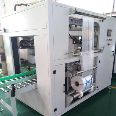 China Custom High Quality Full Automatic Food Bag Inserter Yanmao Packaging Machinery For Plastic Bag Into Carton for sale