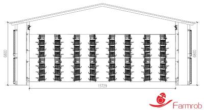 China Off Ground Automatic Egg Collection System Cage-Free-L Big Space No Eggs Outside The Nests for sale