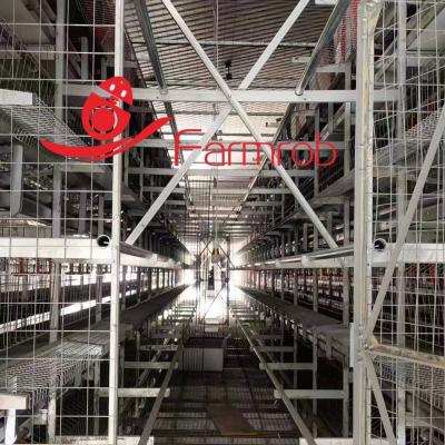 China Large Space Big Cage Free System 3 Tiers - 6 Tiers For Chicken Farm for sale