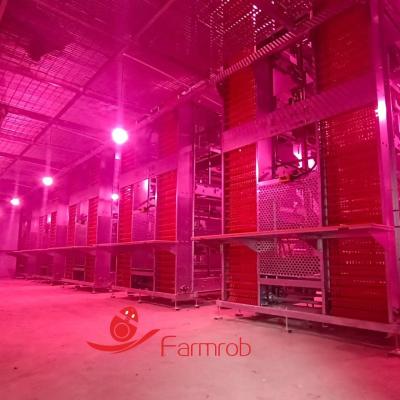 China Energy Efficient Poultry Lighting System 3 Tiers - 8 Tiers Baby Chick Rearing Equipment for sale