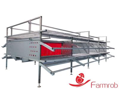 China 2 Tiers 3 Tiers Cage Free System Automatic Cage Free Egg Production Systems for sale