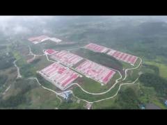 Poultry Battery Cage System