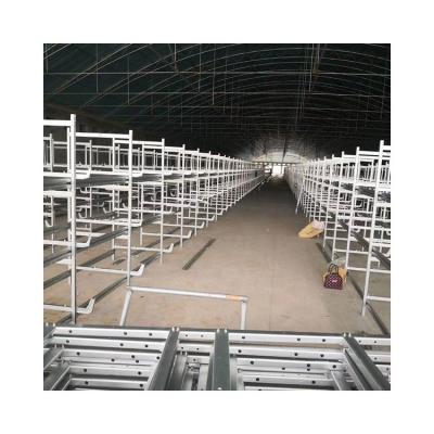 China Automatic Hot Selling Hot Dip Galvanized Low Cost Multilayer Chicken Battery Cage for sale