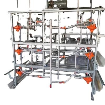 China Automatic Chicken Feeder Other Types Livestock Animal Husbandry Equipment Chicken Cage for sale