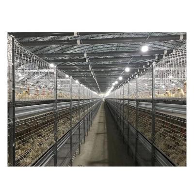 China Automatic Broiler Cages Automatic Chicken Cage H Type Layer Chicken Cage for sale