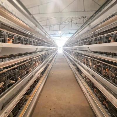 China Durable Animal Husbandry Equipment Chicken Cage Cage Poultry Poultry Equipment for sale