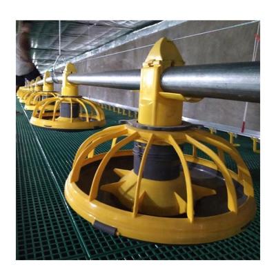 China Chicken feeder automatic feeding line broiler feeding line for sale