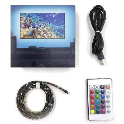 China LANDSCAPE dc5v 5050 30led per meter ip65 silicone glue waterproof usb tv rgb led strip light with 24key IR remote for sale